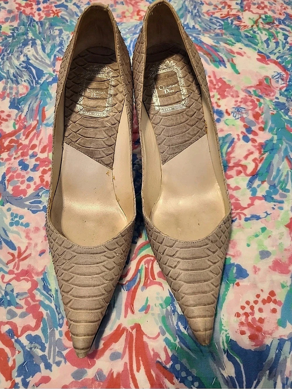 Christian Dior Pointed Toe Heels in Beige